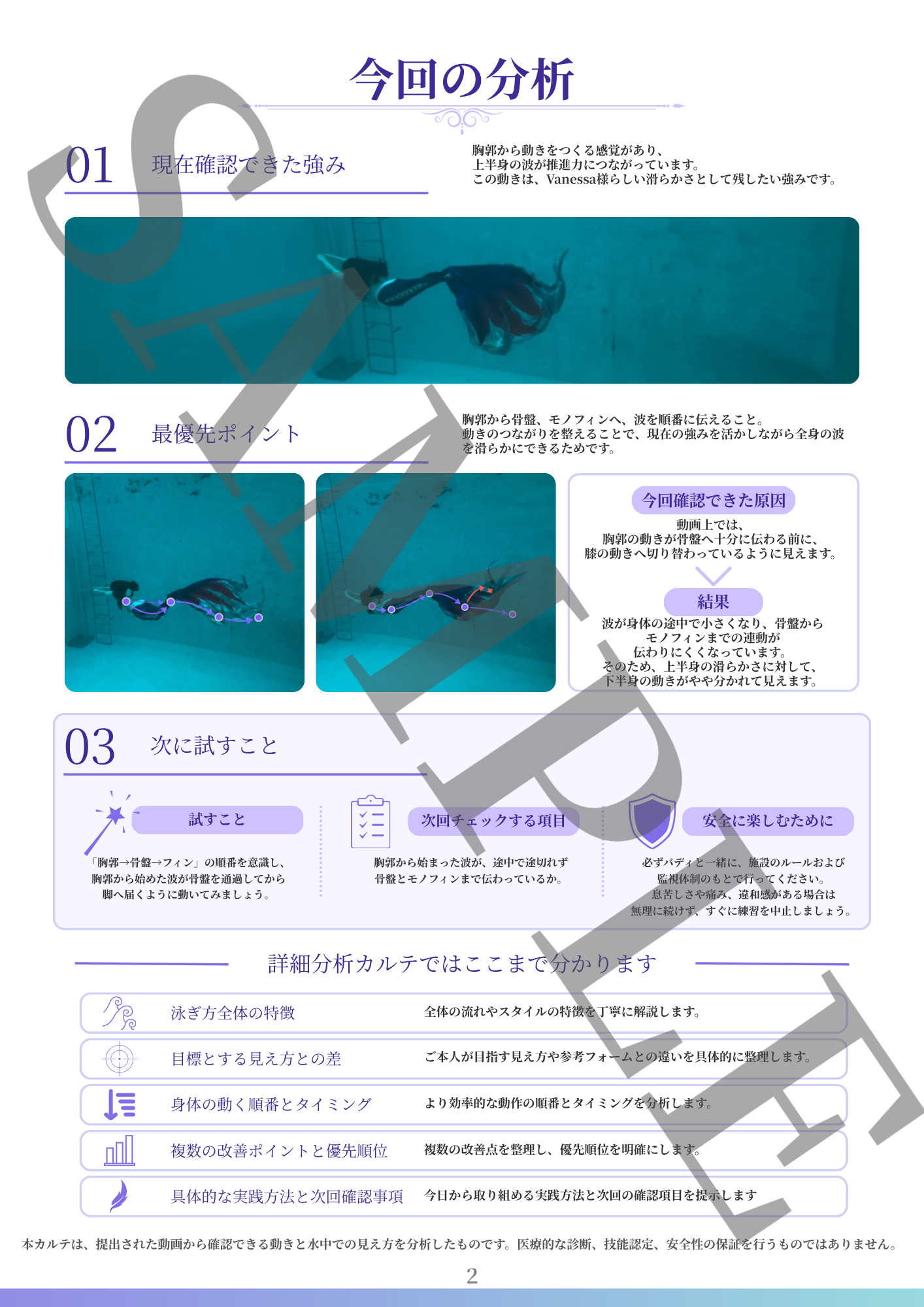 分析体験カルテの分析ページサンプル